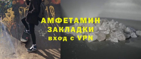 индика Сосновоборск