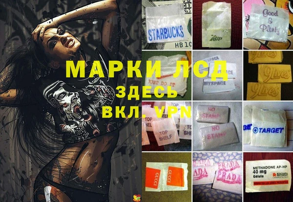 индика Сосновоборск