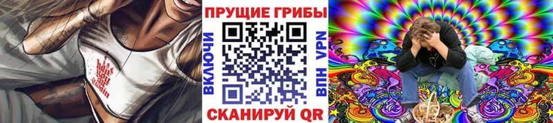 Псилоцибиновые грибы Magic Shrooms Гудермес
